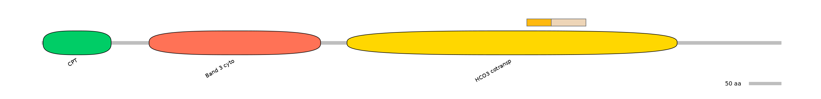 DreINT0151592-EXC