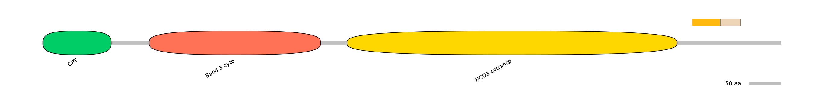 DreINT0151598-EXC