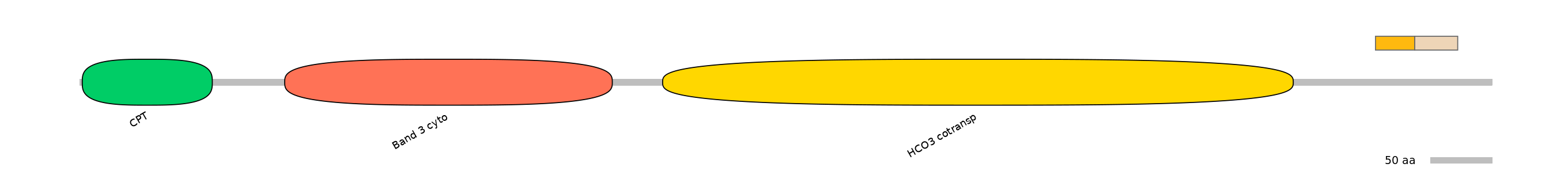 DreINT0151599-EXC