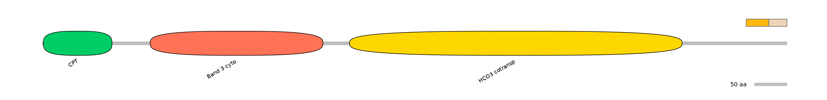 DreINT0151600-EXC