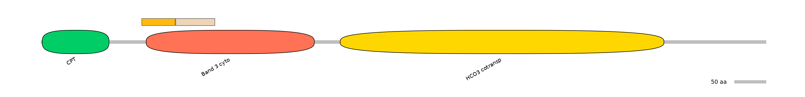 DreINT0151603-EXC