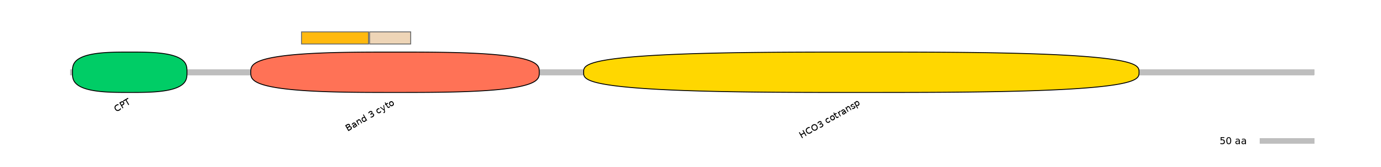 DreINT0151604-EXC