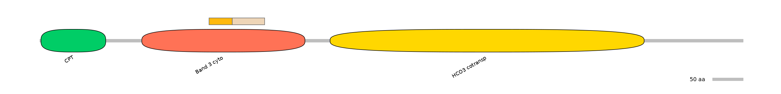DreINT0151605-EXC