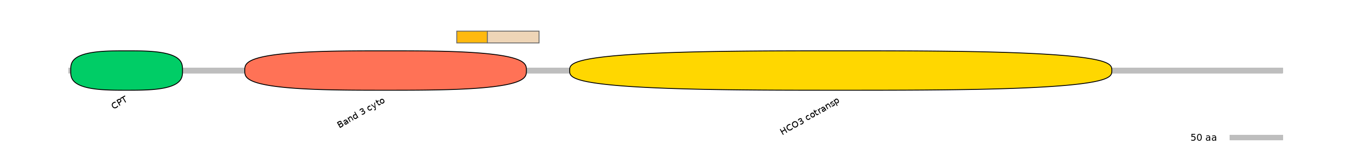 DreINT0151607-EXC