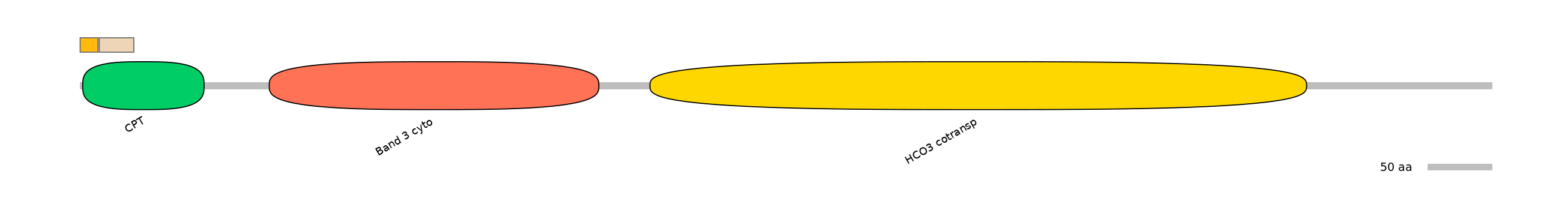 DreINT0151608-EXC