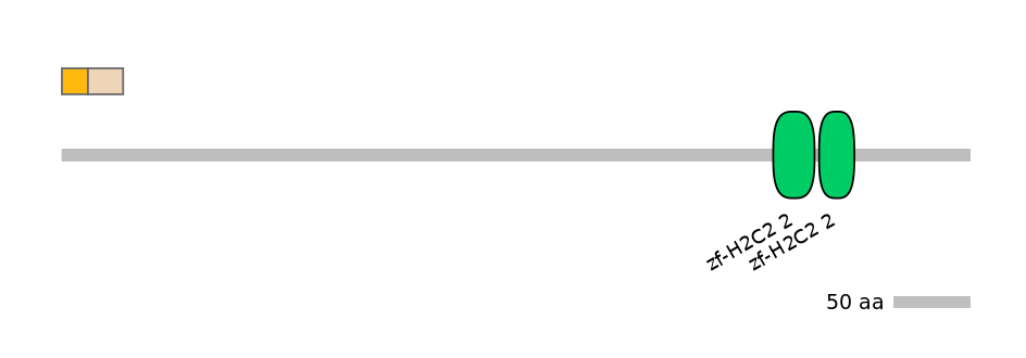 DreINT0154637-EXC
