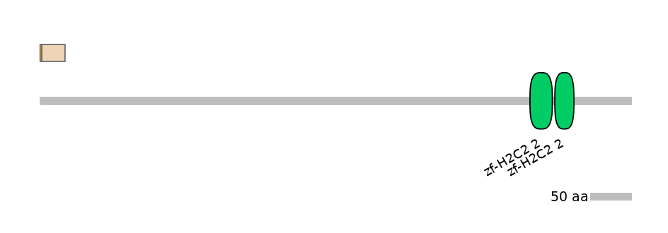 DreINT0154658-EXC