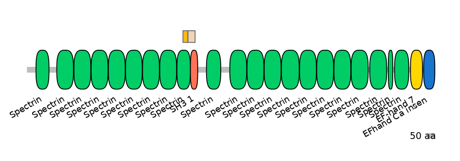 DreINT0155169-EXC