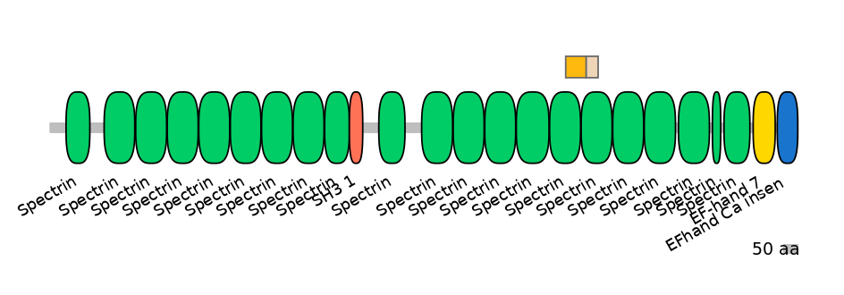 DreINT0155193-EXC