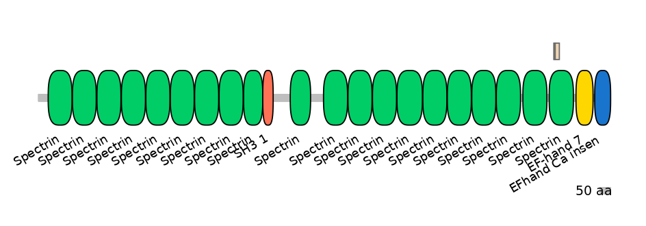 DreINT0155204-EXC