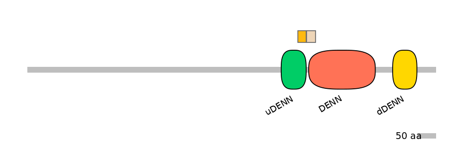DreINT0156548-EXC