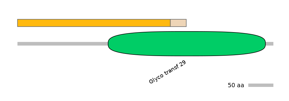 DreINT0156573-EXC