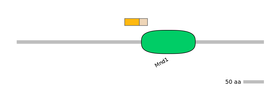 DreINT0158019-EXC