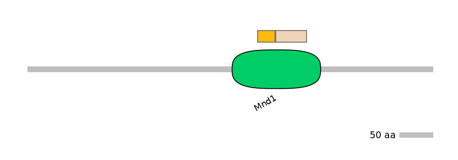 DreINT0158022-EXC