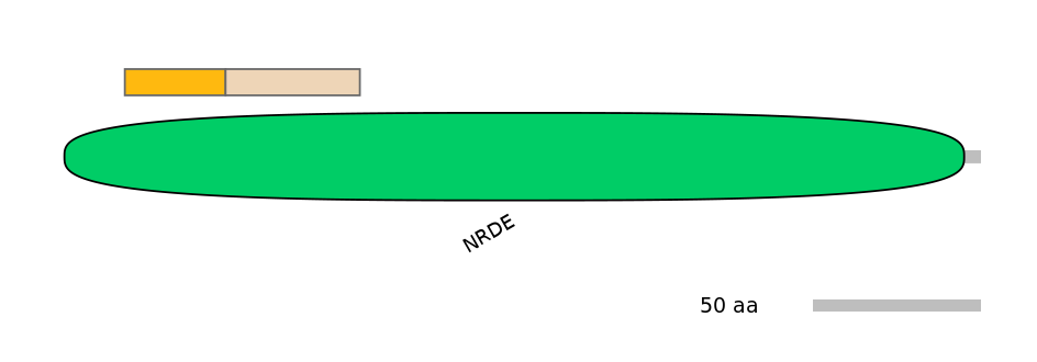 DreINT0160183-EXC