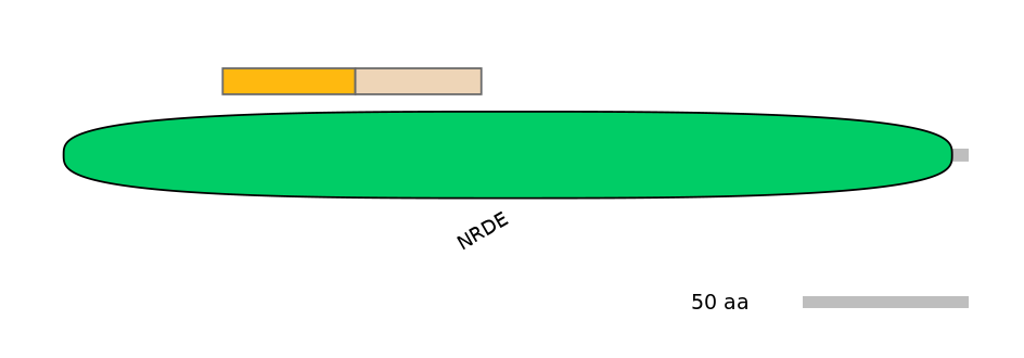DreINT0160184-EXC