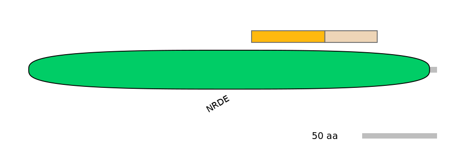 DreINT0160187-EXC
