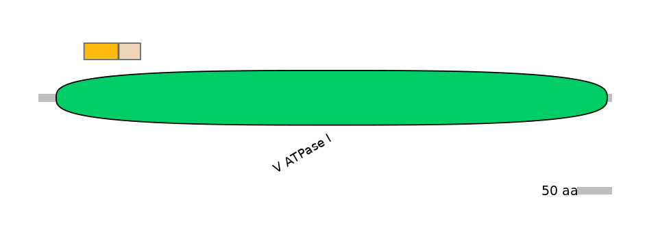 DreINT0161347-EXC