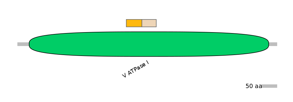 DreINT0161354-EXC