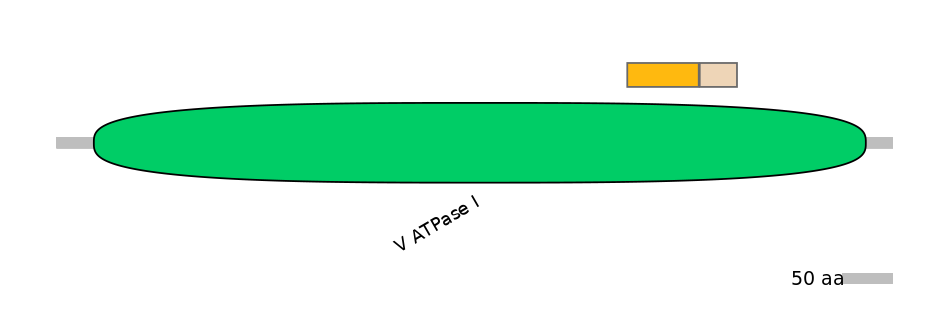 DreINT0161359-EXC