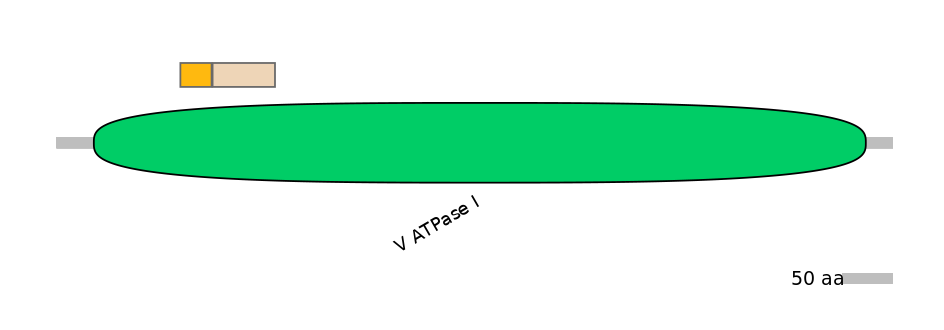 DreINT0161367-EXC