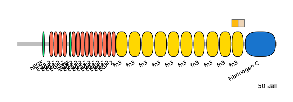 DreINT0165547-EXC