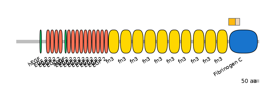 DreINT0165549-EXC