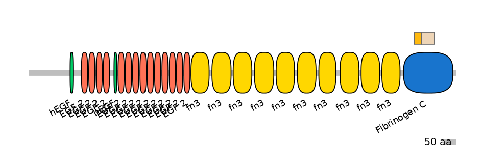 DreINT0165551-EXC