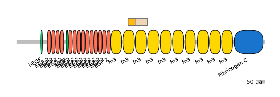 DreINT0165557-EXC