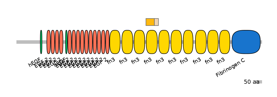 DreINT0165559-EXC