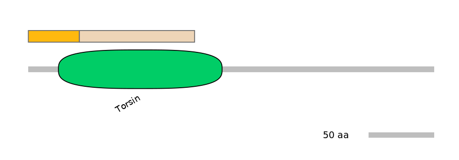 DreINT0166570-EXC