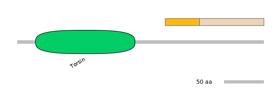 DreINT0166573-EXC