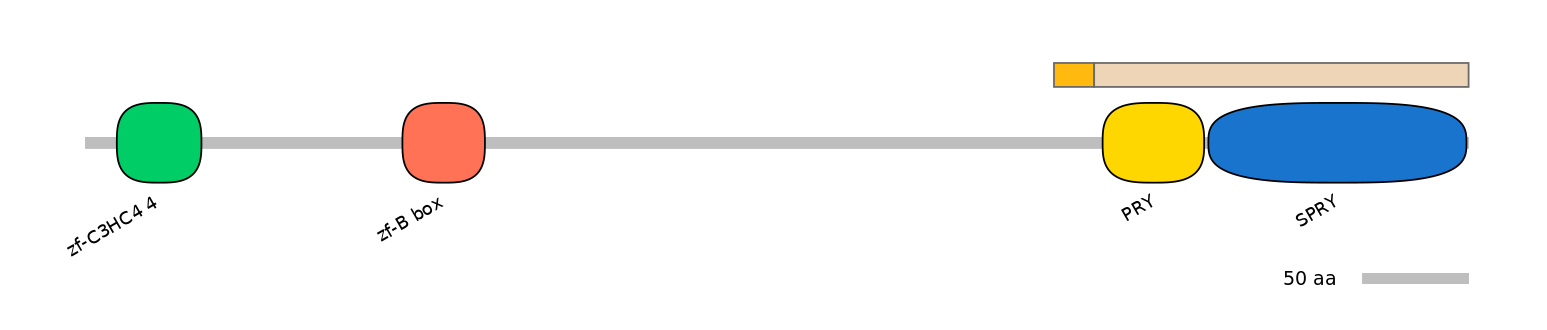 DreINT0167494-EXC