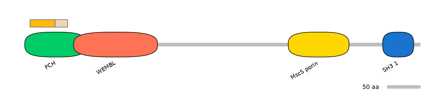 DreINT0167903-EXC