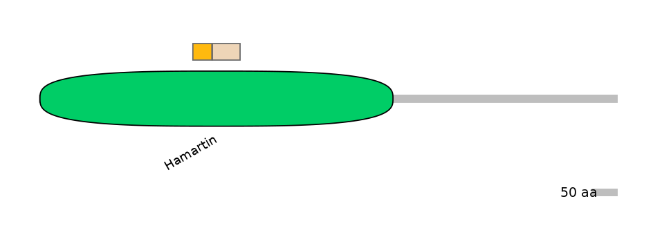 DreINT0168610-EXC