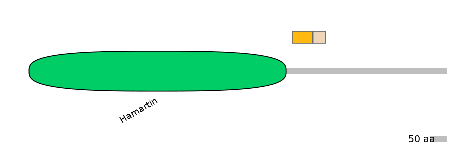 DreINT0168619-EXC