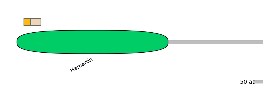 DreINT0168625-EXC