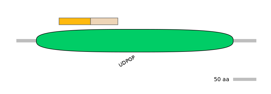 DreINT0170277-EXC