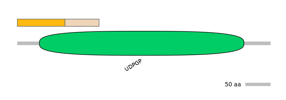 DreINT0170284-EXC