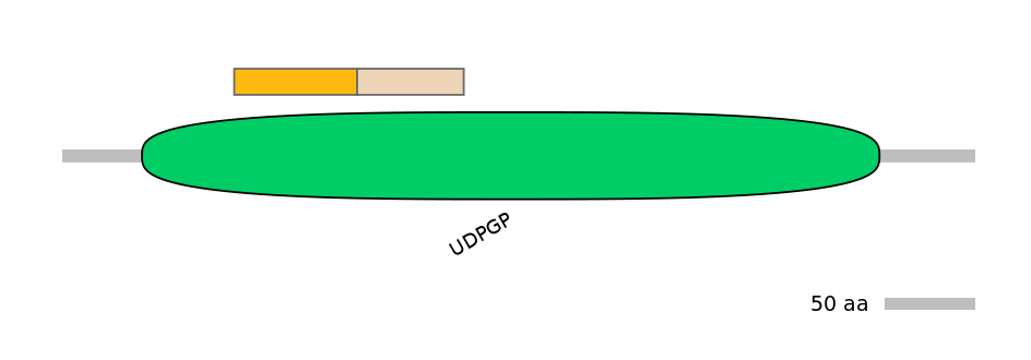 DreINT0170285-EXC