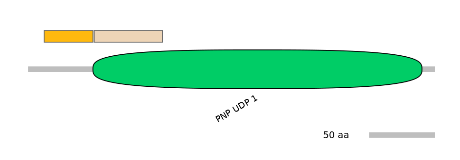 DreINT0172033-EXC