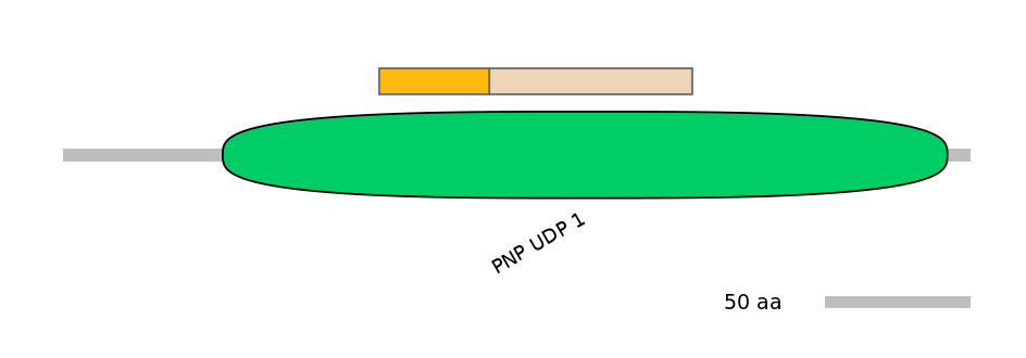 DreINT0172039-EXC