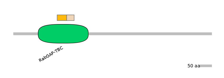 DreINT0173013-EXC