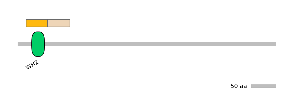 DreINT0175761-EXC