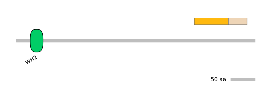 DreINT0175770-EXC