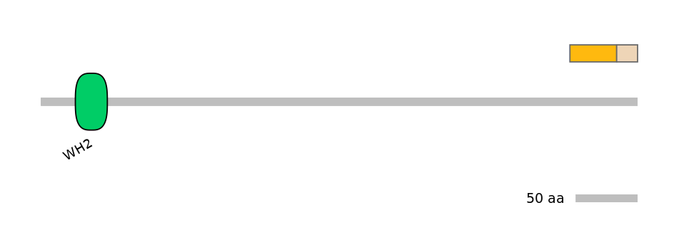 DreINT0175771-EXC