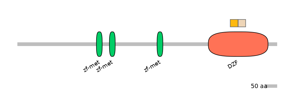 DreINT0177932-EXC