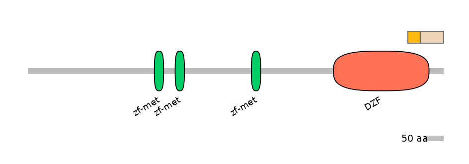 DreINT0177935-EXC
