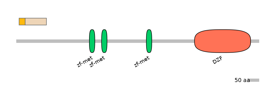 DreINT0177936-EXC