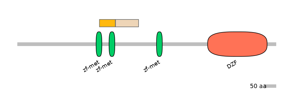 DreINT0177941-EXC